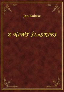Z Niwy Śląskiej