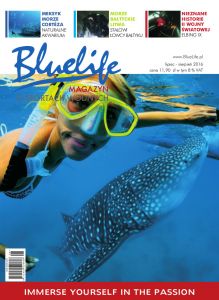 Magazyn Bluelife