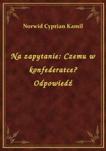 Na zapytanie: Czemu w konfederatce? Odpowiedź