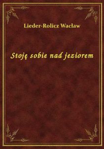 Stoję sobie nad jeziorem