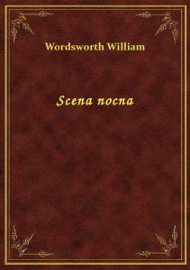 Scena nocna