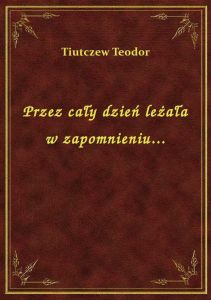Przez cały dzień leżała w zapomnieniu...