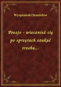 Poezjo - wiecznież cię po sprzętach szukać trzeba...
