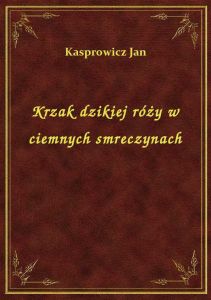 Krzak dzikiej róży w ciemnych smreczynach