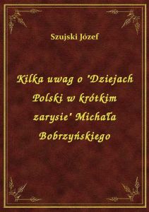 Kilka uwag o \Dziejach Polski w krótkim zarysie\ Michała Bobrzyńskiego