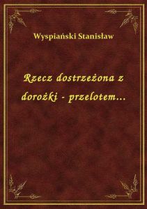 Rzecz dostrzeżona z dorożki - przelotem...