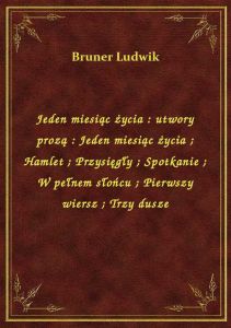 Jeden miesiąc życia : utwory prozą : Jeden miesiąc życia. Hamlet. Przysięgły. Spotkanie. W pełnem sł