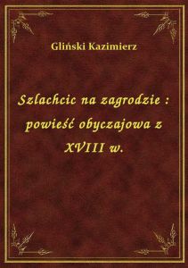 Szlachcic na zagrodzie : powieść obyczajowa z XVIII w.