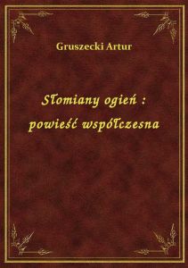 Słomiany ogień : powieść współczesna