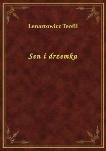 Sen i drzemka