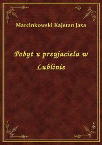 Pobyt u przyjaciela w Lublinie