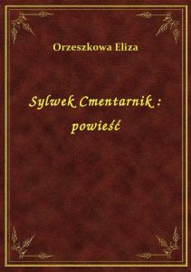 Sylwek Cmentarnik : powieść