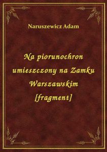 Na piorunochron umieszczony na Zamku Warszawskim [fragment]