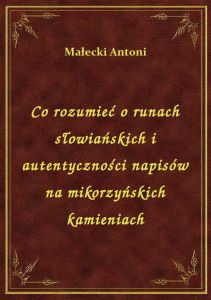 Co rozumieć o runach słowiańskich i autentyczności napisów na mikorzyńskich kamieniach