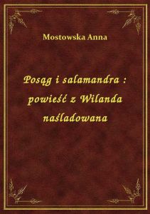 Posąg i salamandra : powieść z Wilanda naśladowana
