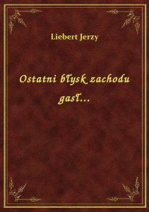 Ostatni błysk zachodu gasł...