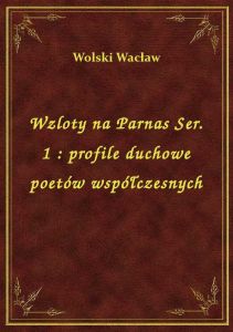 Wzloty na Parnas Ser. 1 : profile duchowe poetów współczesnych