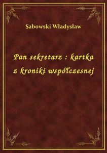 Pan sekretarz : kartka z kroniki współczesnej