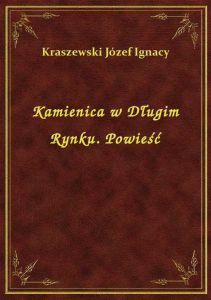 Kamienica w Długim Rynku. Powieść