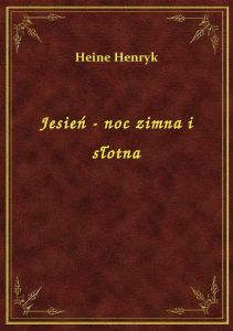 Jesień - noc zimna i słotna