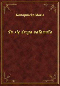 Tu się droga załamała