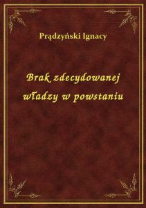Brak zdecydowanej władzy w powstaniu