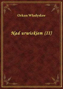 Nad urwiskiem (II)