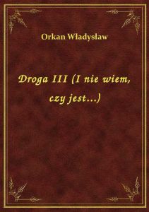 Droga III (I nie wiem, czy jest...)