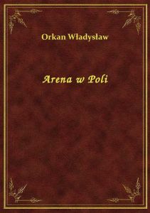 Arena w Poli