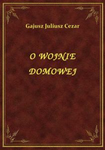 O Wojnie Domowej