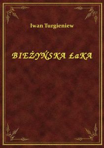 Bieżyńska Łąka