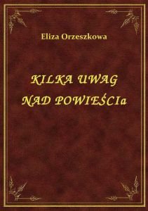Kilka Uwag Nad Powieścią